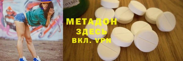 шишки Покачи