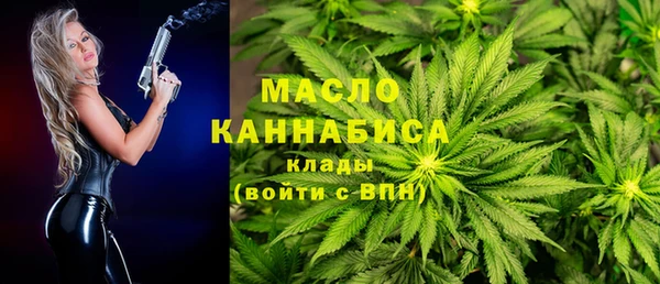 шишки Покачи