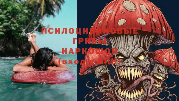 прущие крисы Арсеньев