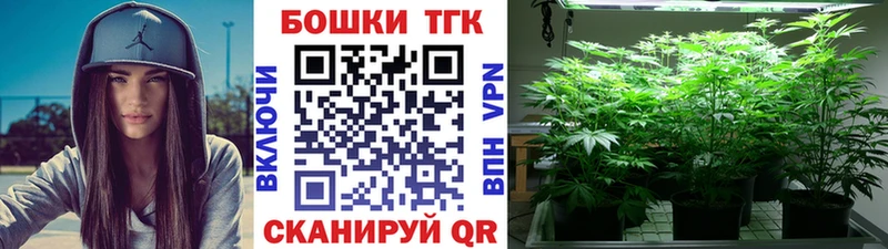 Шишки марихуана THC 21%  Пошехонье 